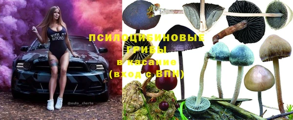СК Алексеевка