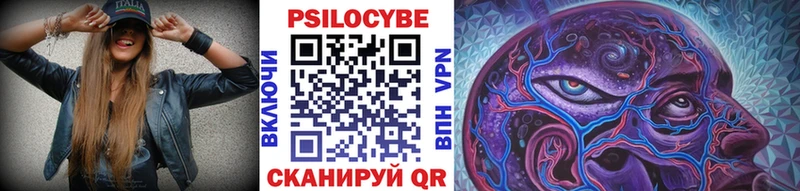 Псилоцибиновые грибы Psilocybe  Долинск 